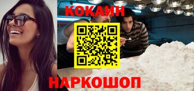 стаф Гатчина