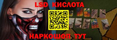 стаф Гатчина