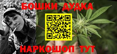 стаф Гатчина