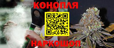 амф Гай