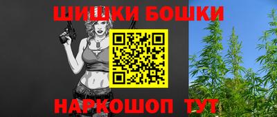 стаф Гатчина