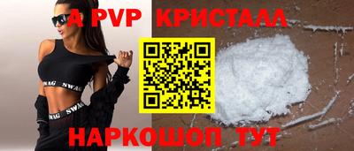 стаф Гатчина