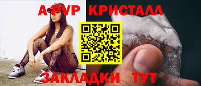 стаф Гатчина