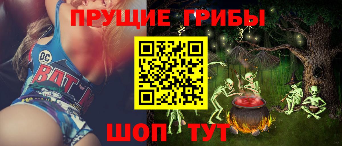 Псилоцибиновые грибы Cubensis  закладка  Звенигород  Псилоцибиновые грибы Cubensis 