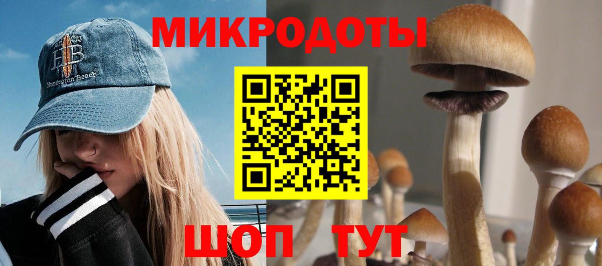 Звенигород  Галлюциногенные грибы прущие грибы  наркошоп  Вход с VPN 